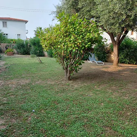 Orthilippa Giardino Orosei